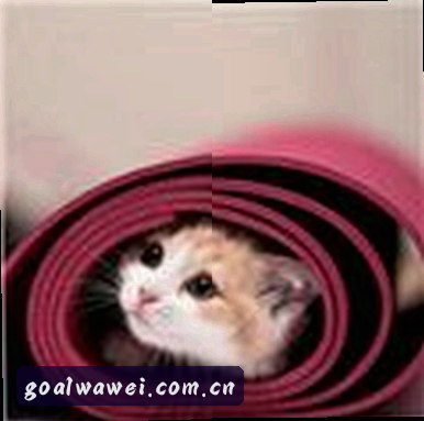 刘强